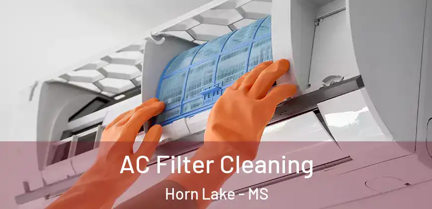 AC Filter Cleaning Horn Lake - MS