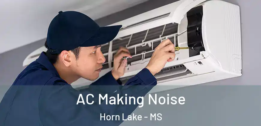 AC Making Noise Horn Lake - MS