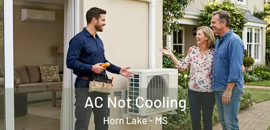 AC Not Cooling Horn Lake - MS