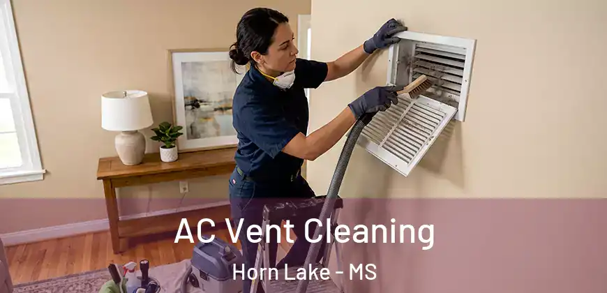 AC Vent Cleaning Horn Lake - MS