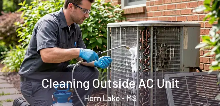 Cleaning Outside AC Unit Horn Lake - MS