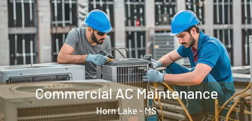 Commercial AC Maintenance Horn Lake - MS